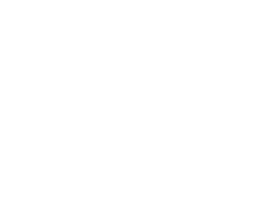 Más de 300 empresas impulsadas